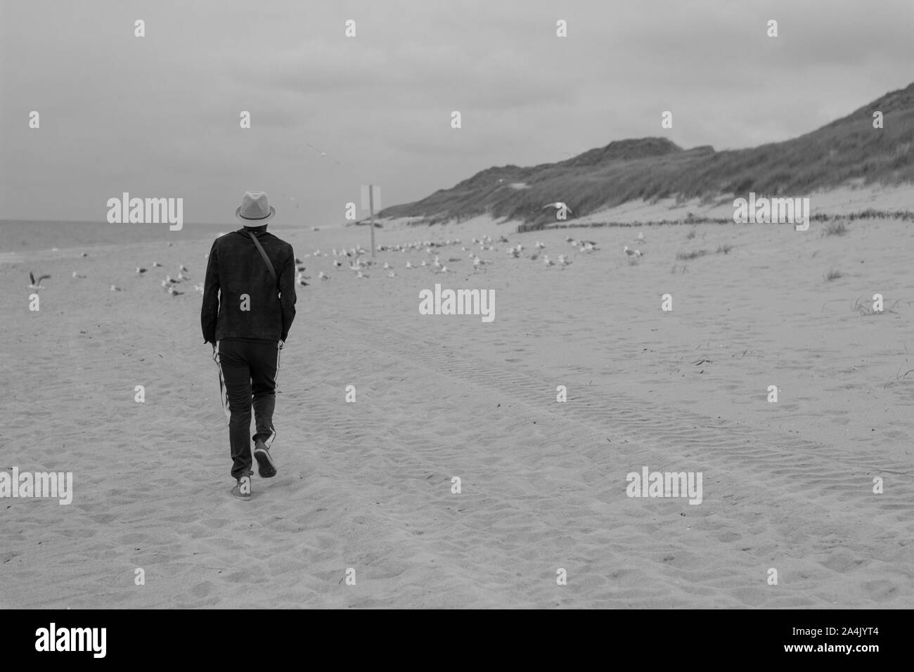 Camminare da solo su una spiaggia con i gabbiani Foto Stock