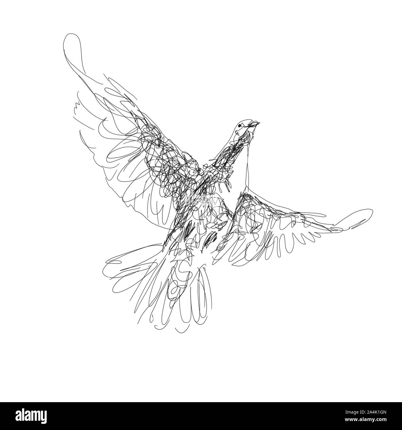 Il digital nero sketch, illustrazione di Pigeon, simbolo dello Spirito Santo, isolato su sfondo bianco Foto Stock