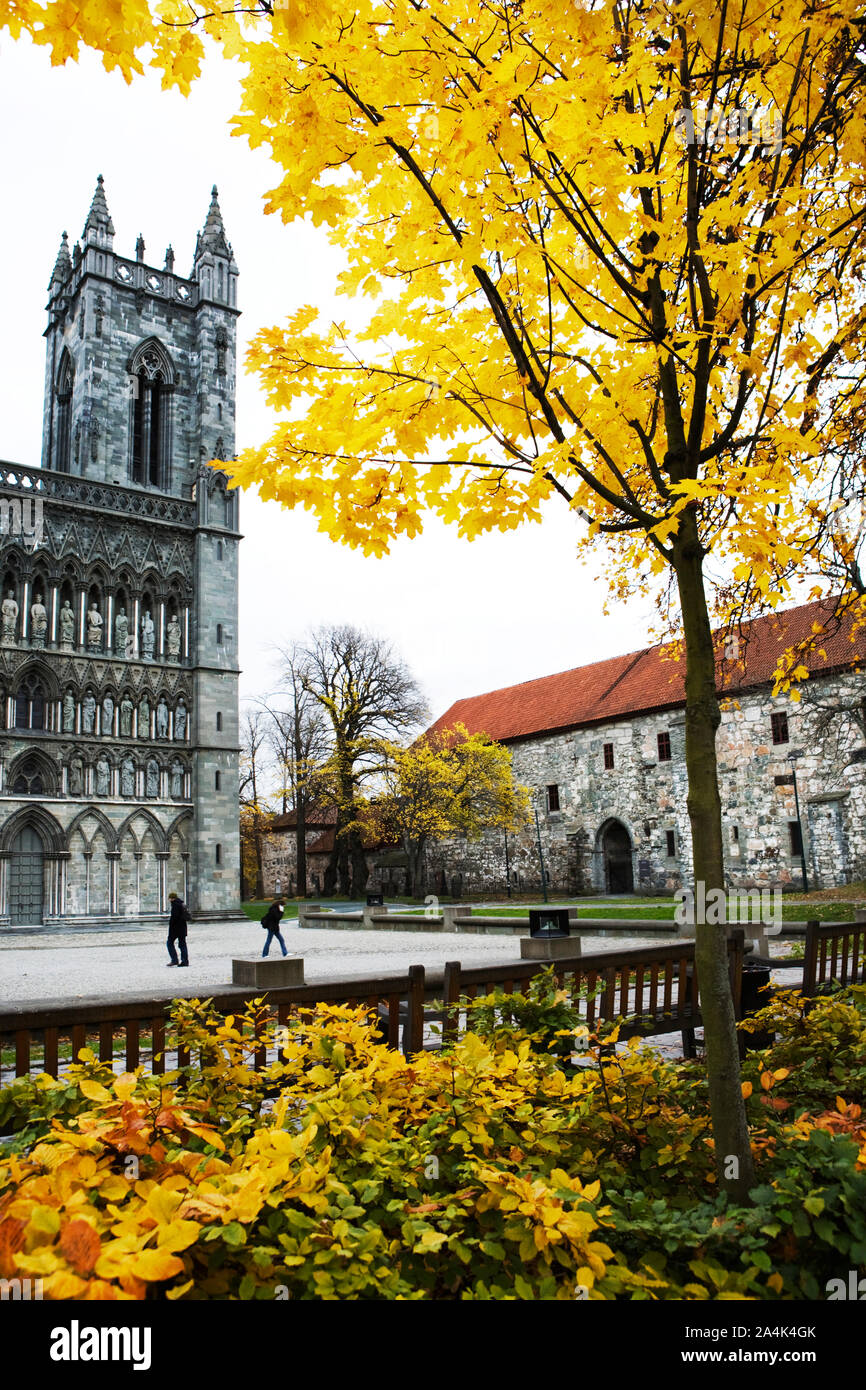 Cattedrale Nidarosdomen di Trondheim Foto Stock