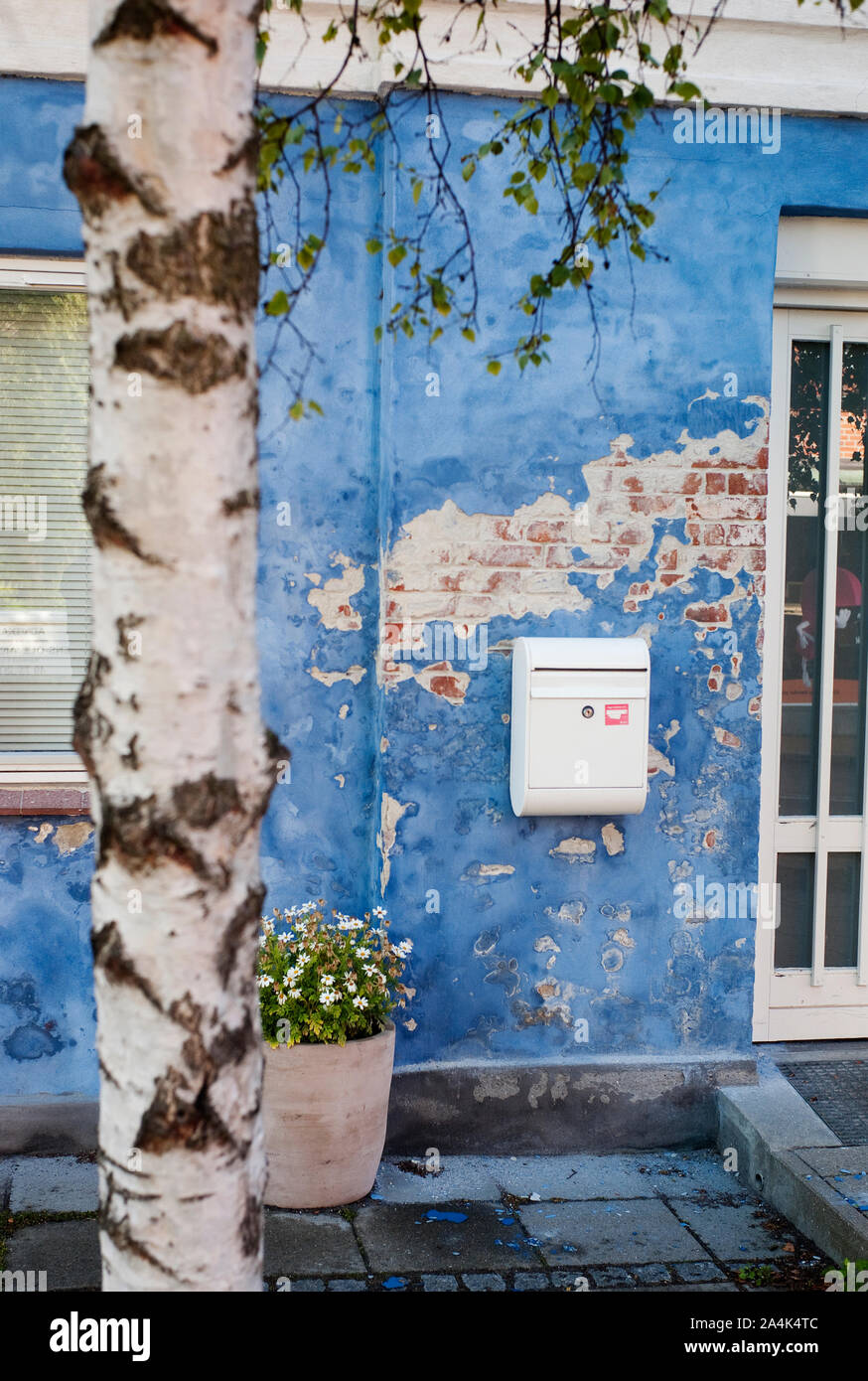 Blu casa di mattoni e betulla in Danimarca Foto Stock