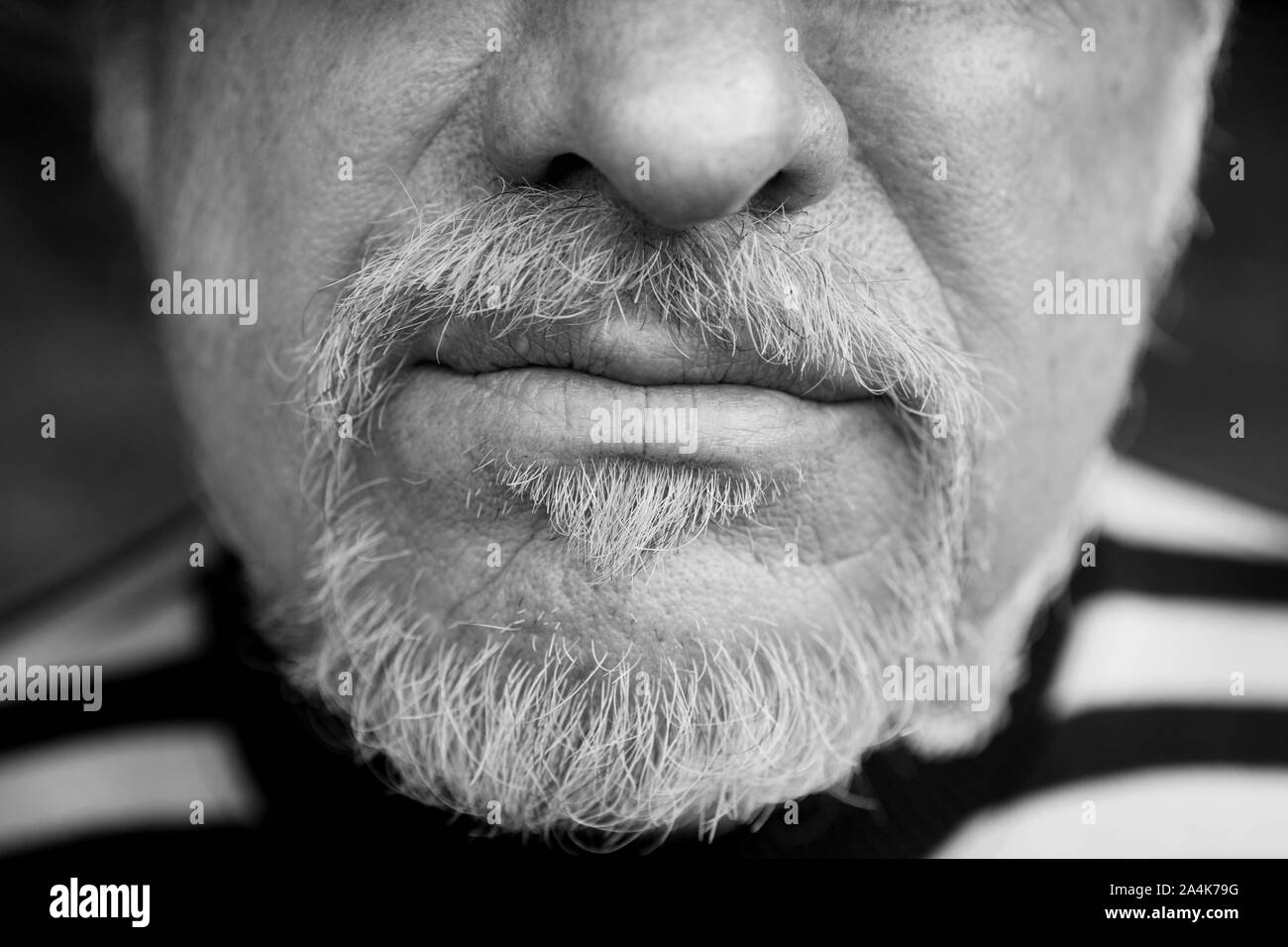 Con barba Foto Stock