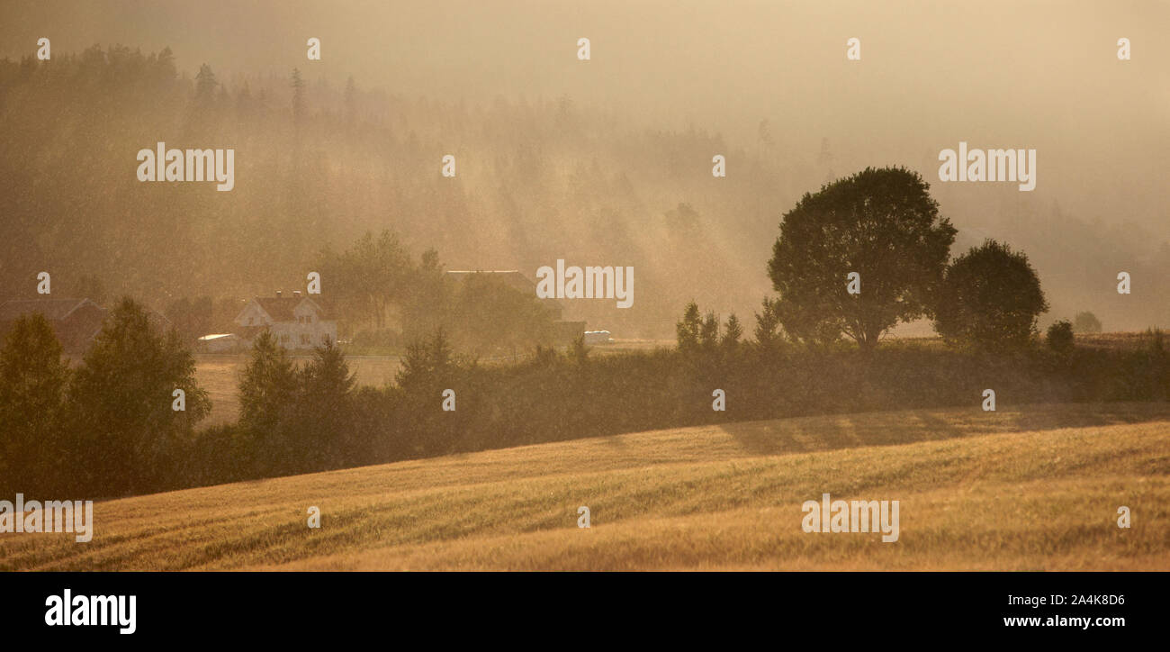 Paesaggio coltivato in Norvegia Foto Stock