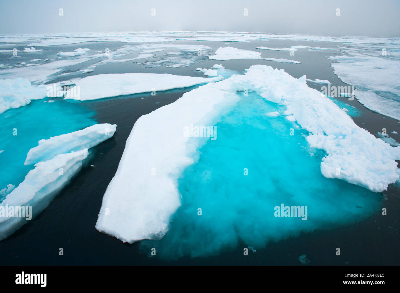 Ghiaccio di moto. Ghiaccio galleggiante. Mare di ghiaccio. Spitsbergen Svalbard. Foto Stock