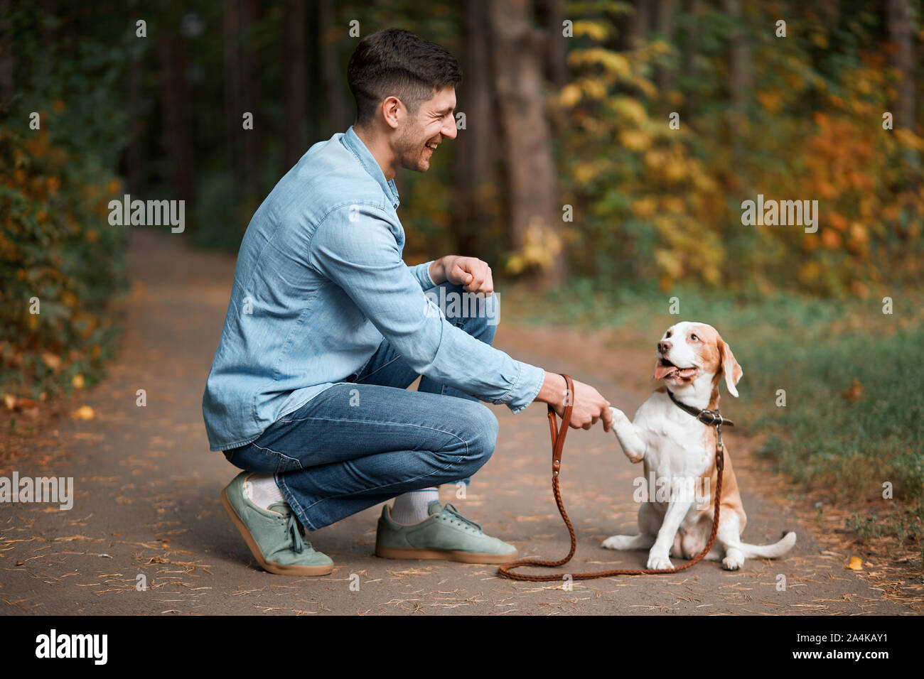 Tipo attraente uomo insegnando il suo cane per salutare e piacevole per incontrare voi. a lunghezza piena vista laterale foto Foto Stock