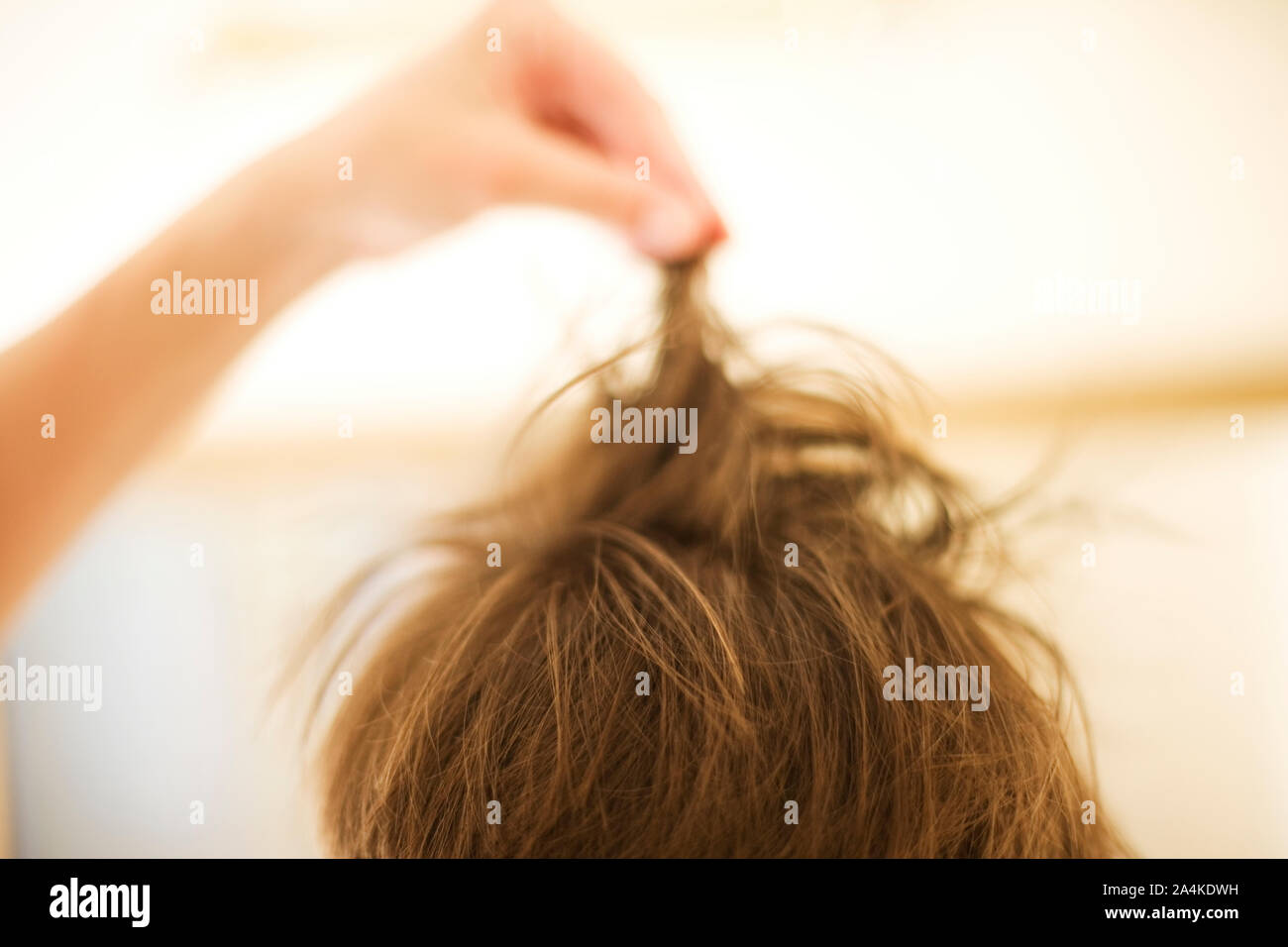 Donna blow asciugando i capelli Foto Stock
