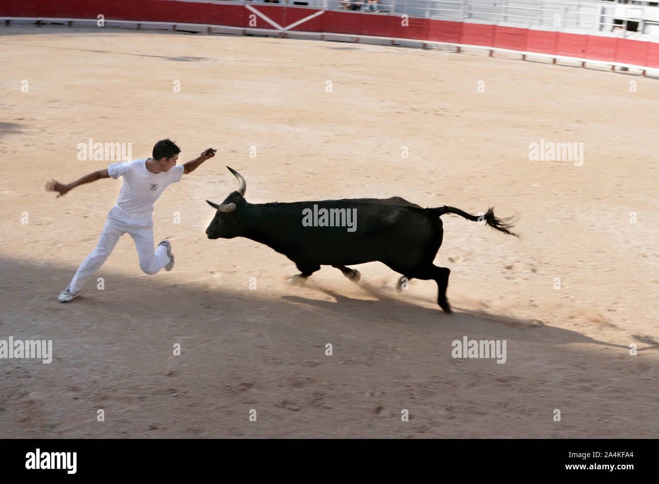 La corrida in Spagna Foto Stock