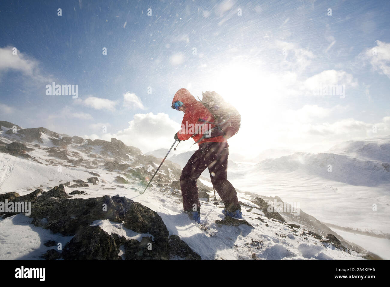 Persona escursioni sulla neve montagna rivestita Foto Stock