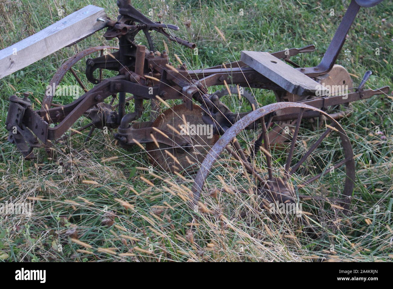 Antico aratro nel campo Foto Stock