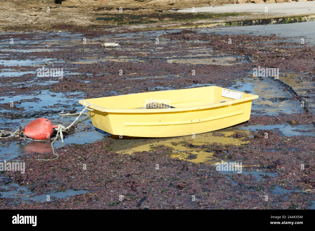 Offerta Barca sulla sabbia a bassa marea in un porto in Bretagna Foto Stock