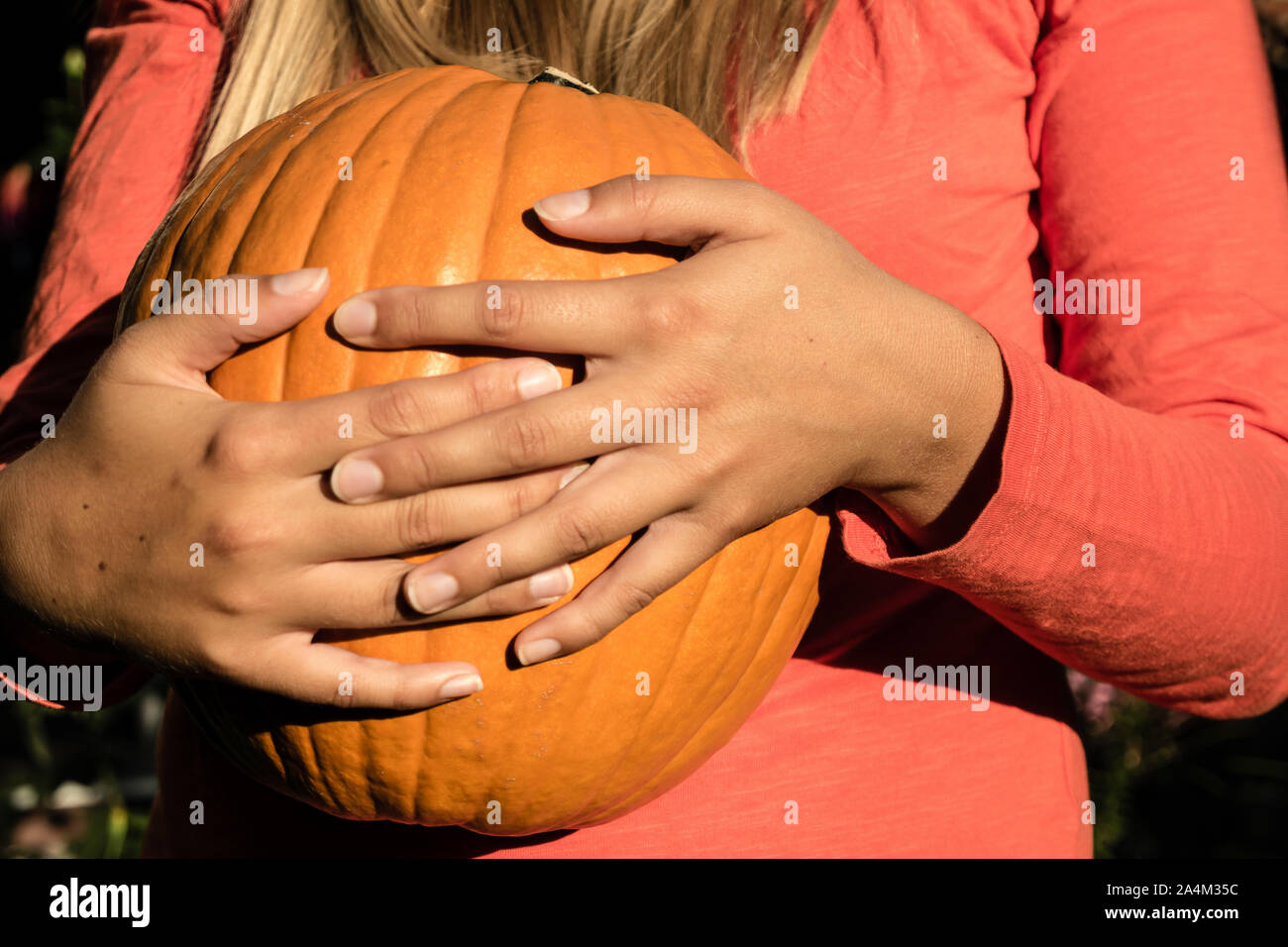 La zucca per scolpire i volti in Foto Stock