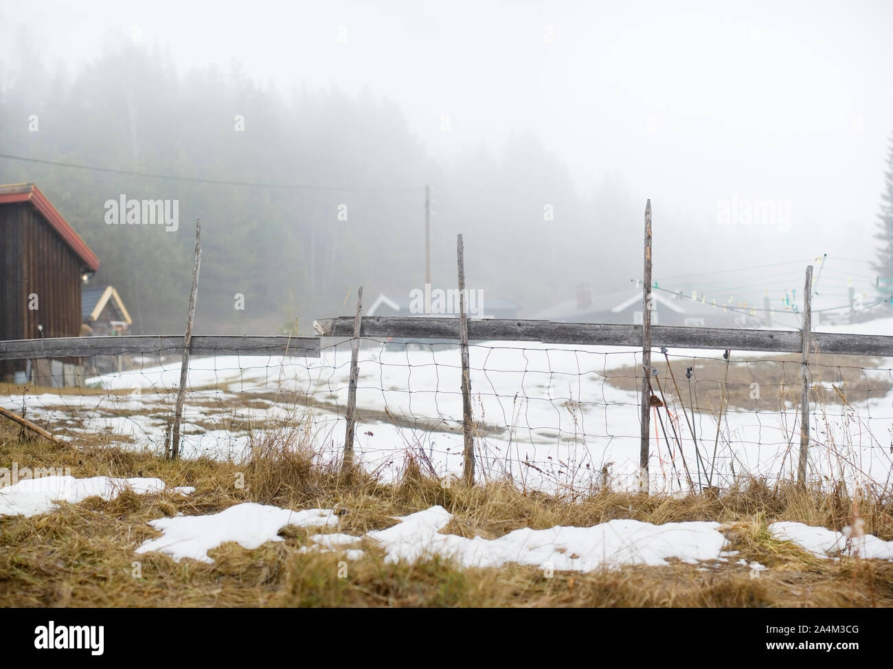 Campo durante la primavera in Norvegia Foto Stock