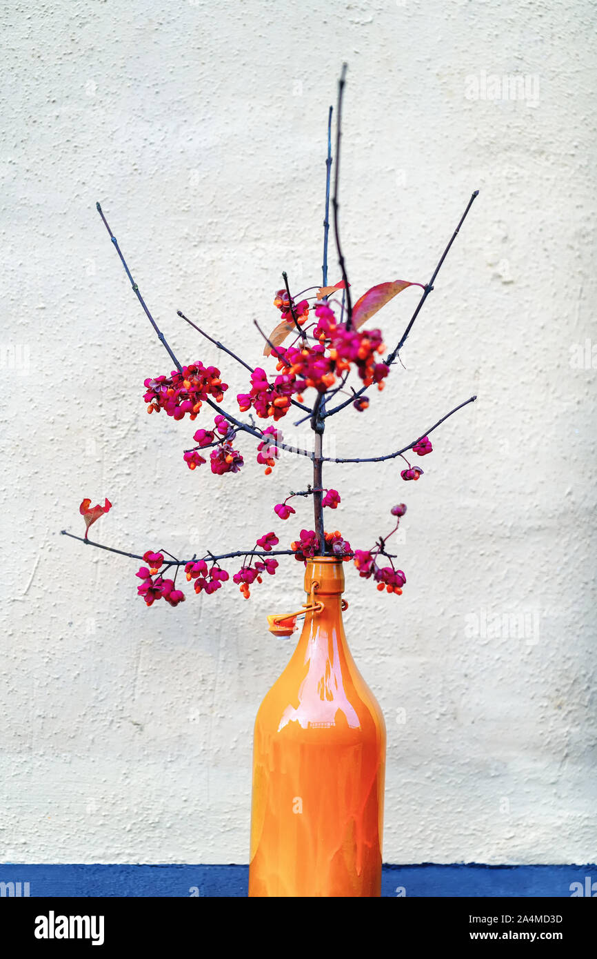 Il ramo con frutti di bosco in un vaso colorato Foto Stock
