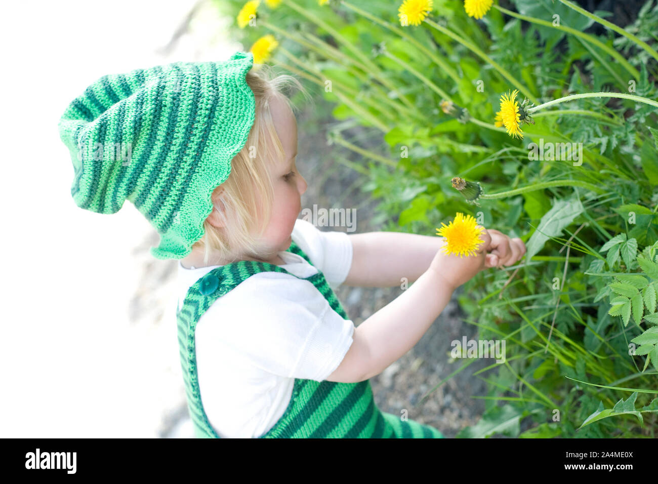 Ritratto di bambino a caccia di fiori Foto Stock