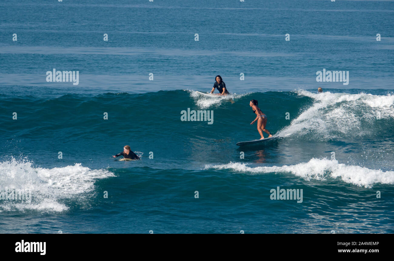 Giovane donna navigare un'onda in Canggu, Bali, Indonesia, sud-est asiatico Foto Stock