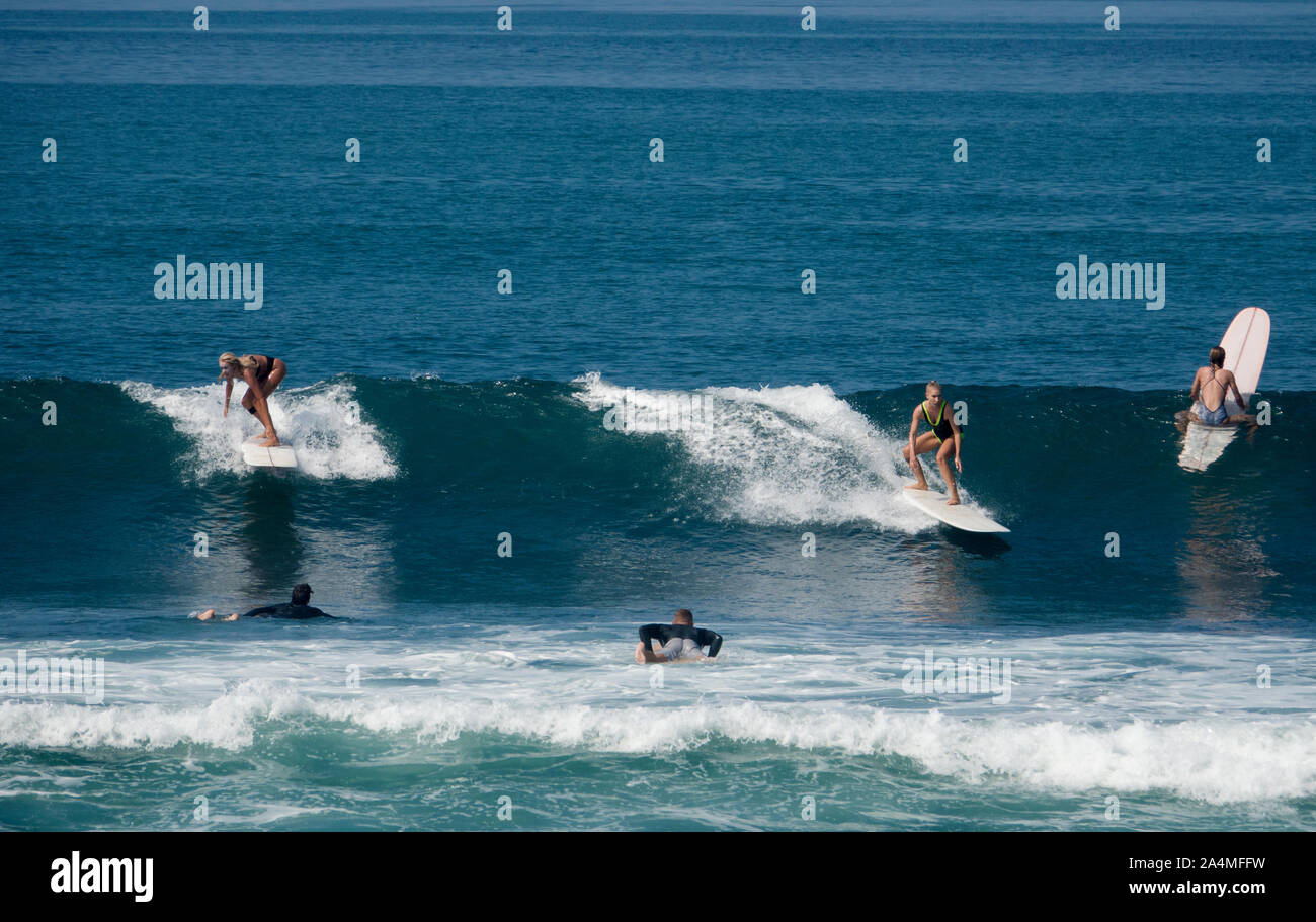 Surfisti cavalcare le onde a Batu Bolong beach in Canggu, Bali, Indonesia Foto Stock