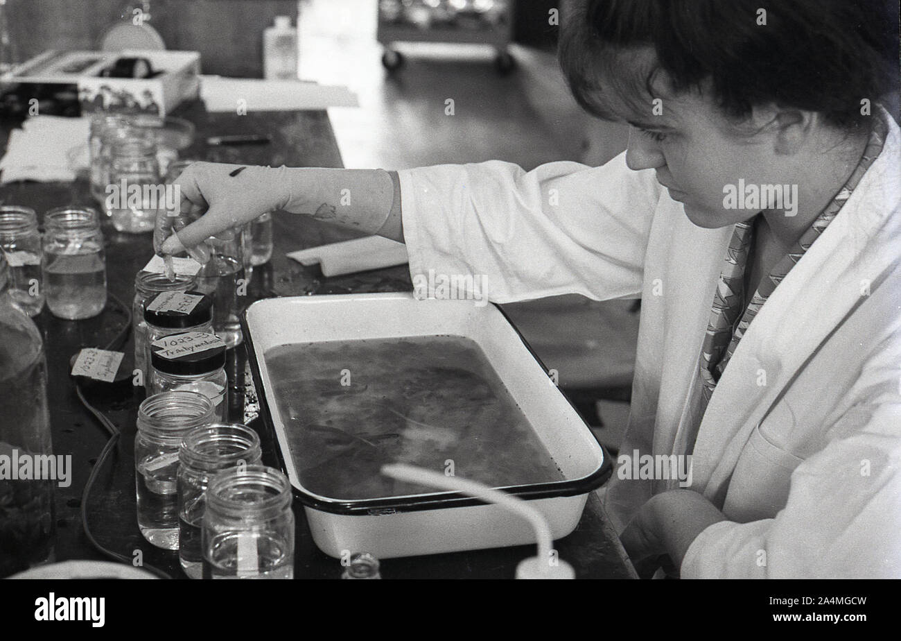 1960 anni, storica, studentessa universitaria in un laboratorio scientifico con una ciotola in ceramica metallica e un certo numero di vasi di vetro che fanno esperimenti con diversi liquidi, USA. Foto Stock