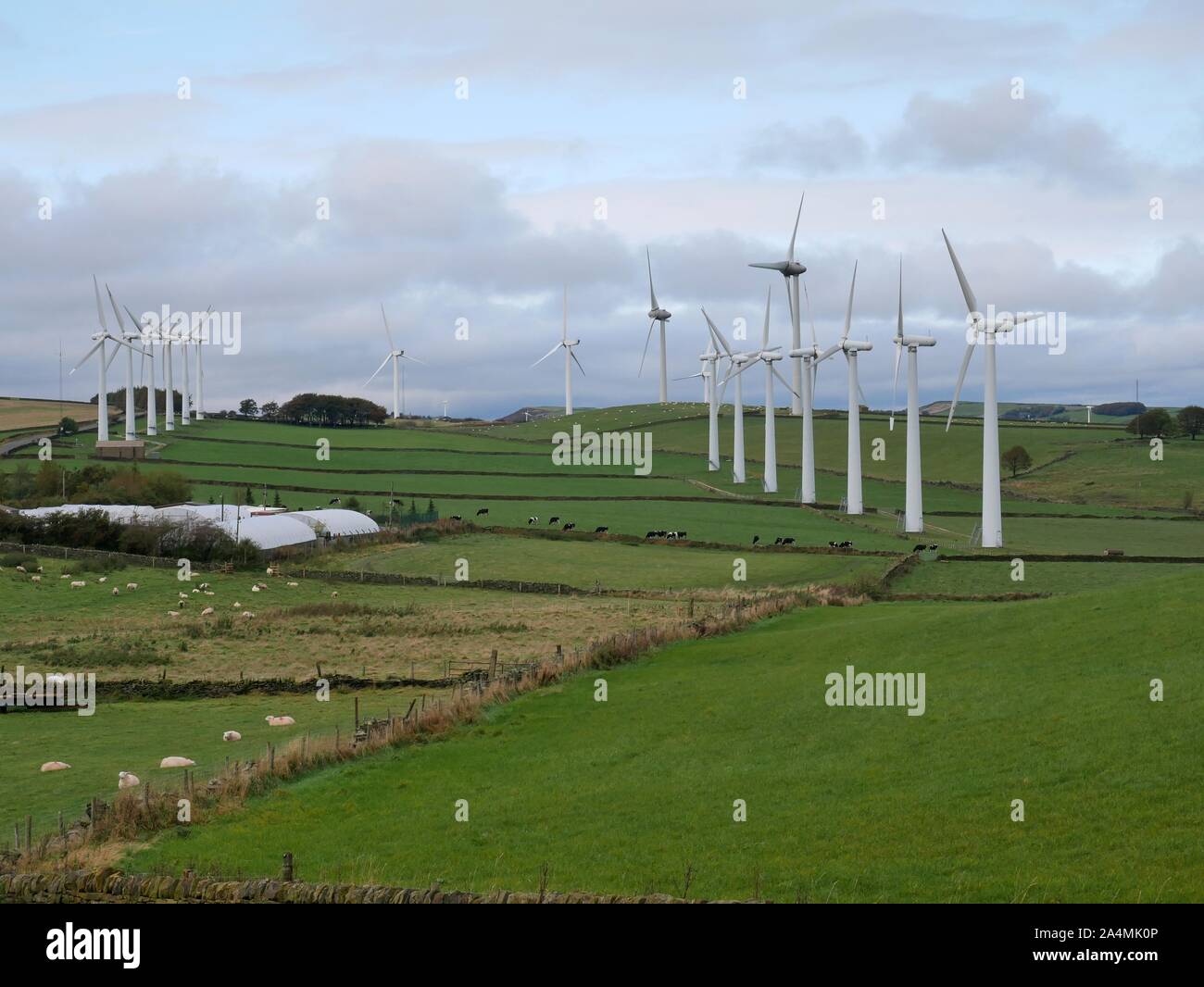 Due linee di mulini a vento a Royd Moor con il mulino a vento view cafe e centro giardino nel piano medio e pecore nei campi Foto Stock
