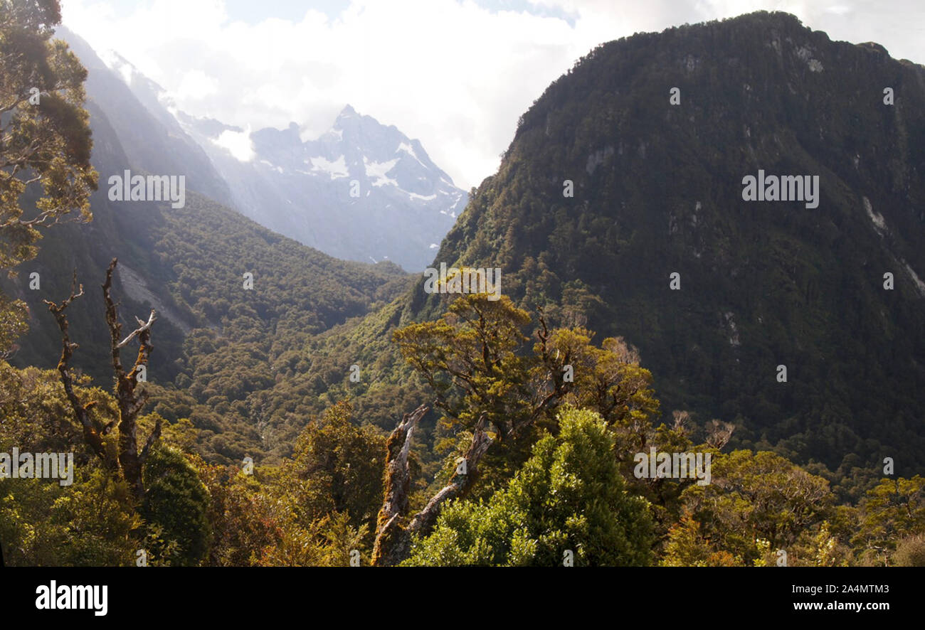 Incontaminato habitat di montagna nel Parco Nazionale di Fiordland, Isola del Sud della Nuova Zelanda Foto Stock