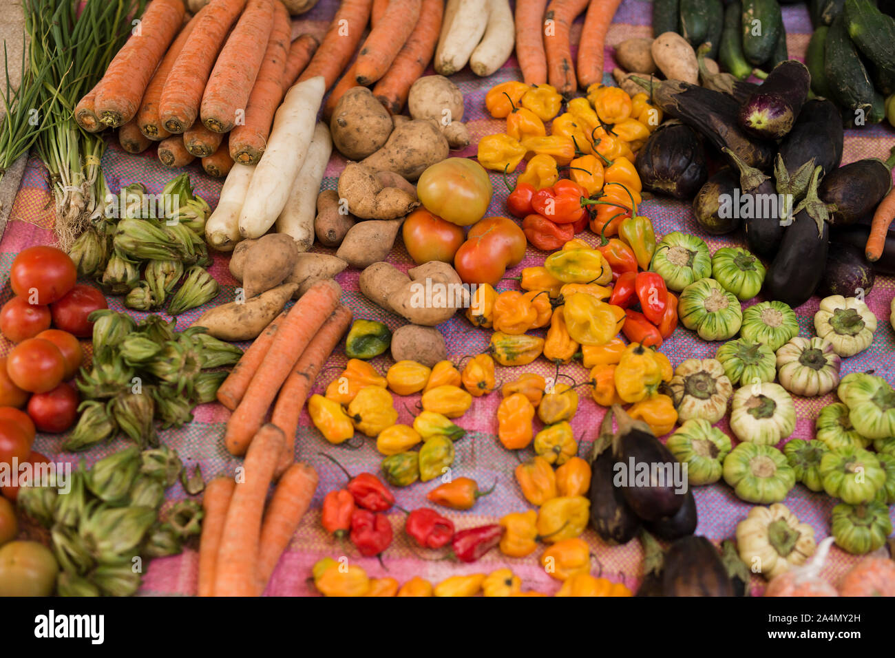 Verdure Foto Stock