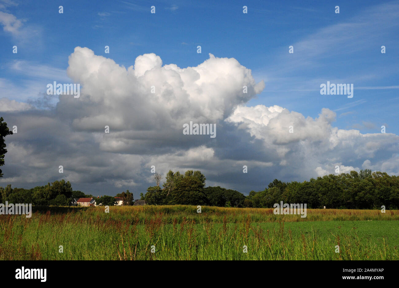 Cumulus nuvole sopra la pianura costiera.West Sussex England.sky Foto Stock