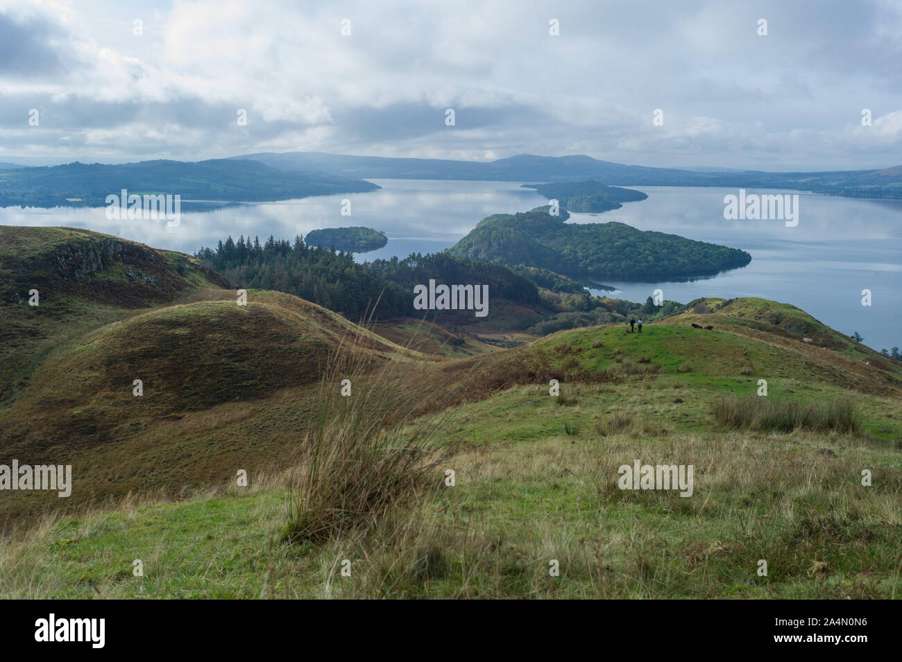 La vista dalla collina conica del Loch Lomond. Scozia Foto Stock