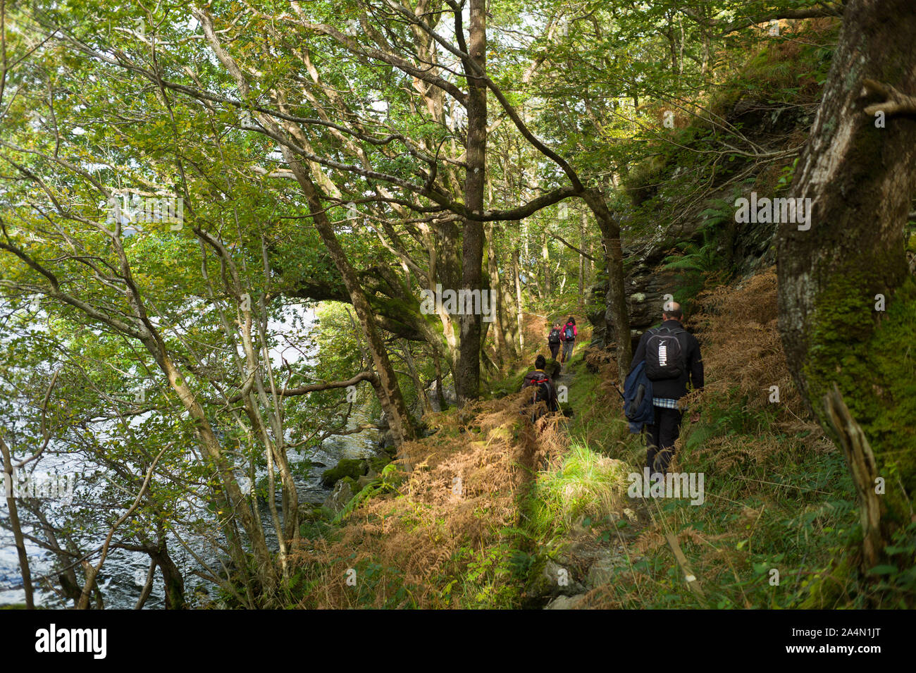 Walkers sul West Highland Way accanto a Loch Lomond appena a nord di Rowadennan Foto Stock