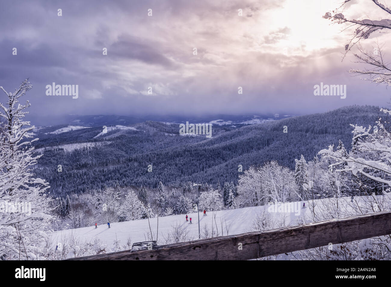 Carpazi e Bukovel ski resort di pendenza. Pochi hobby non identificabili gli sciatori sono godendo le loro vacanze attive. Staccionata in legno in primo piano. Atto Foto Stock