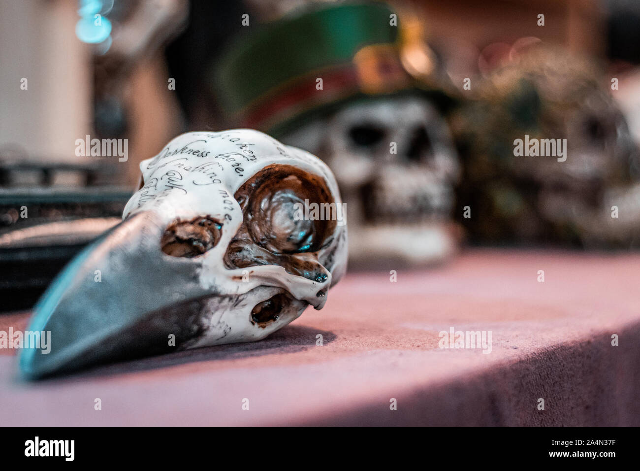 Il dia de los Muertos. Cranio animale per rituali scuro. Halloween orrore e terrore temi. Culto satanico oggetti. Foto Stock