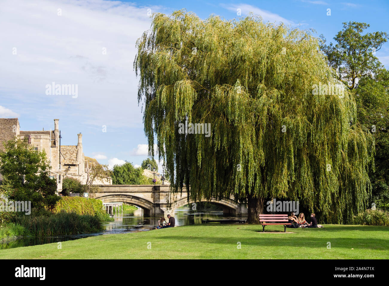 La gente seduta al di sotto di un salice piangente albero dal fiume Welland in città prati park. Stamford, Lincolnshire, Inghilterra, Regno Unito, Gran Bretagna Foto Stock