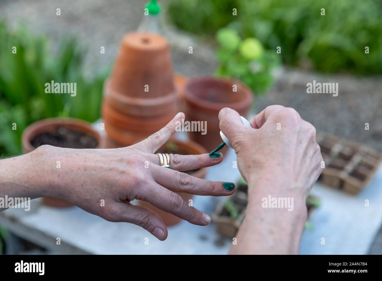 Donna pittura chiodi su piantine Foto Stock