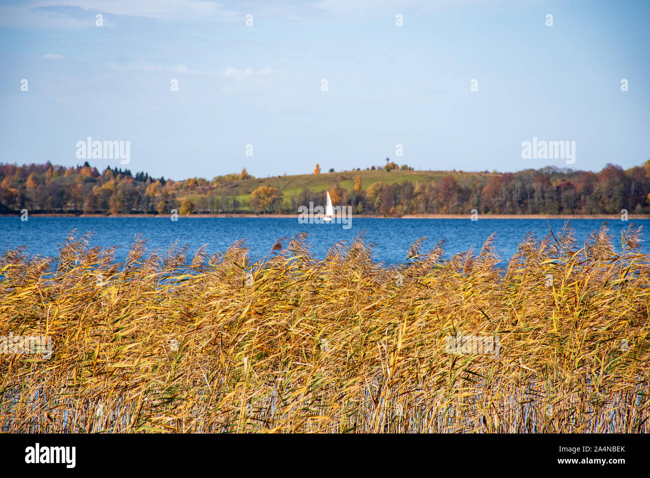 Meraviglioso paesaggio autunnale con un bel colore giallo e arancione alberi colorati, il lago con la barca e canne secche in primo piano Foto Stock