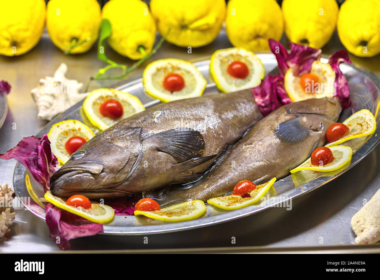 Presentazione di fresco pesce cernia al limone impreparati nel ristorante vassoio - iss detto di avere il meglio del gusto di tutti i pesci del Mediterraneo Foto Stock