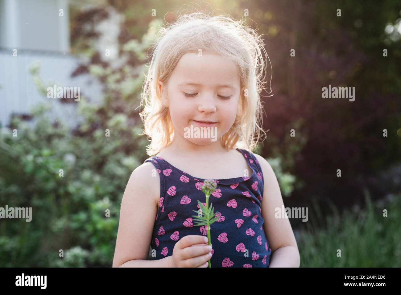 Ragazza con fiore piccolo Foto Stock