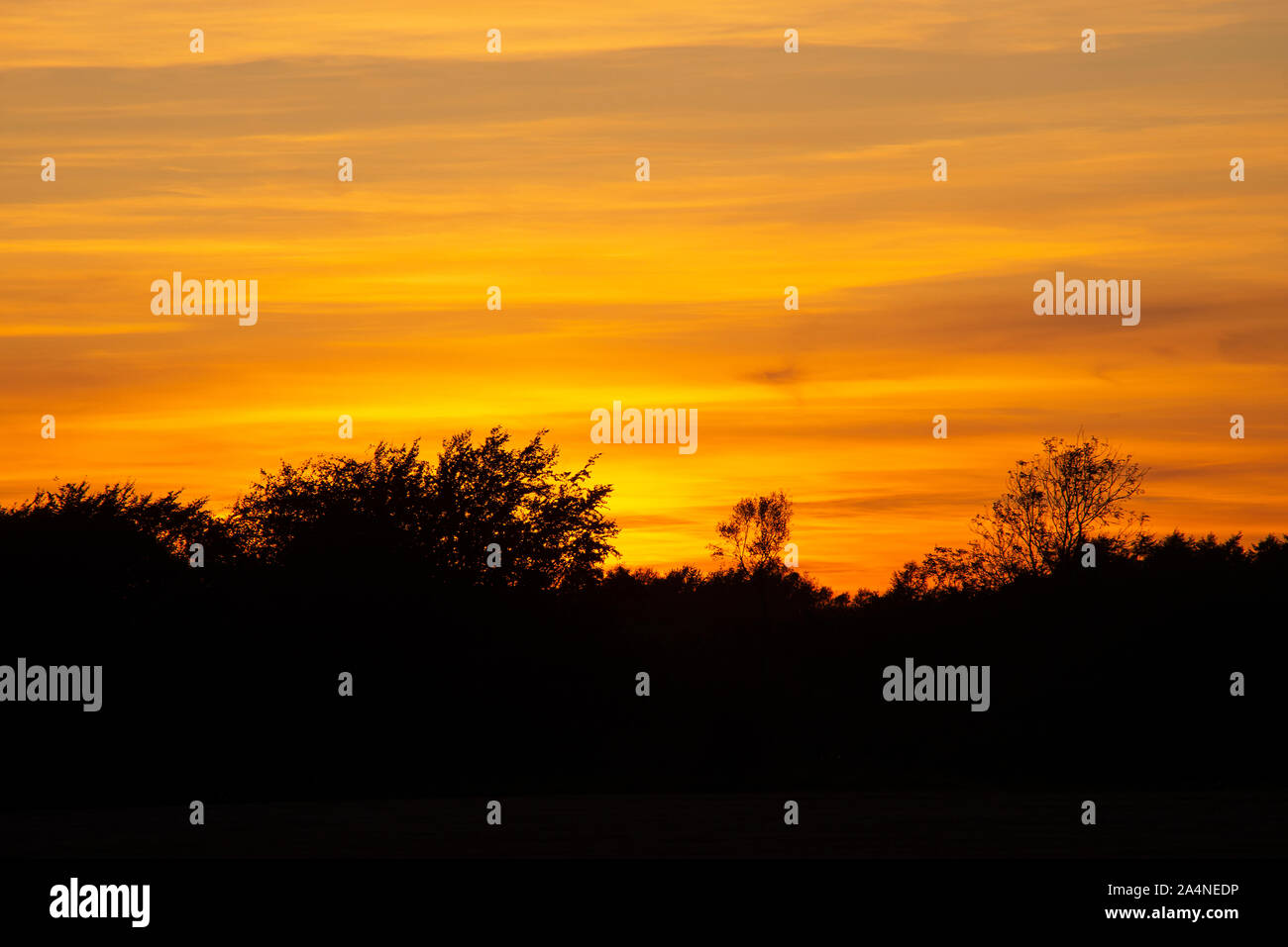 Un bellissimo tramonto arancione su Farm Land e Woodland a Sawdon North Yorkshire Inghilterra Regno Unito Foto Stock