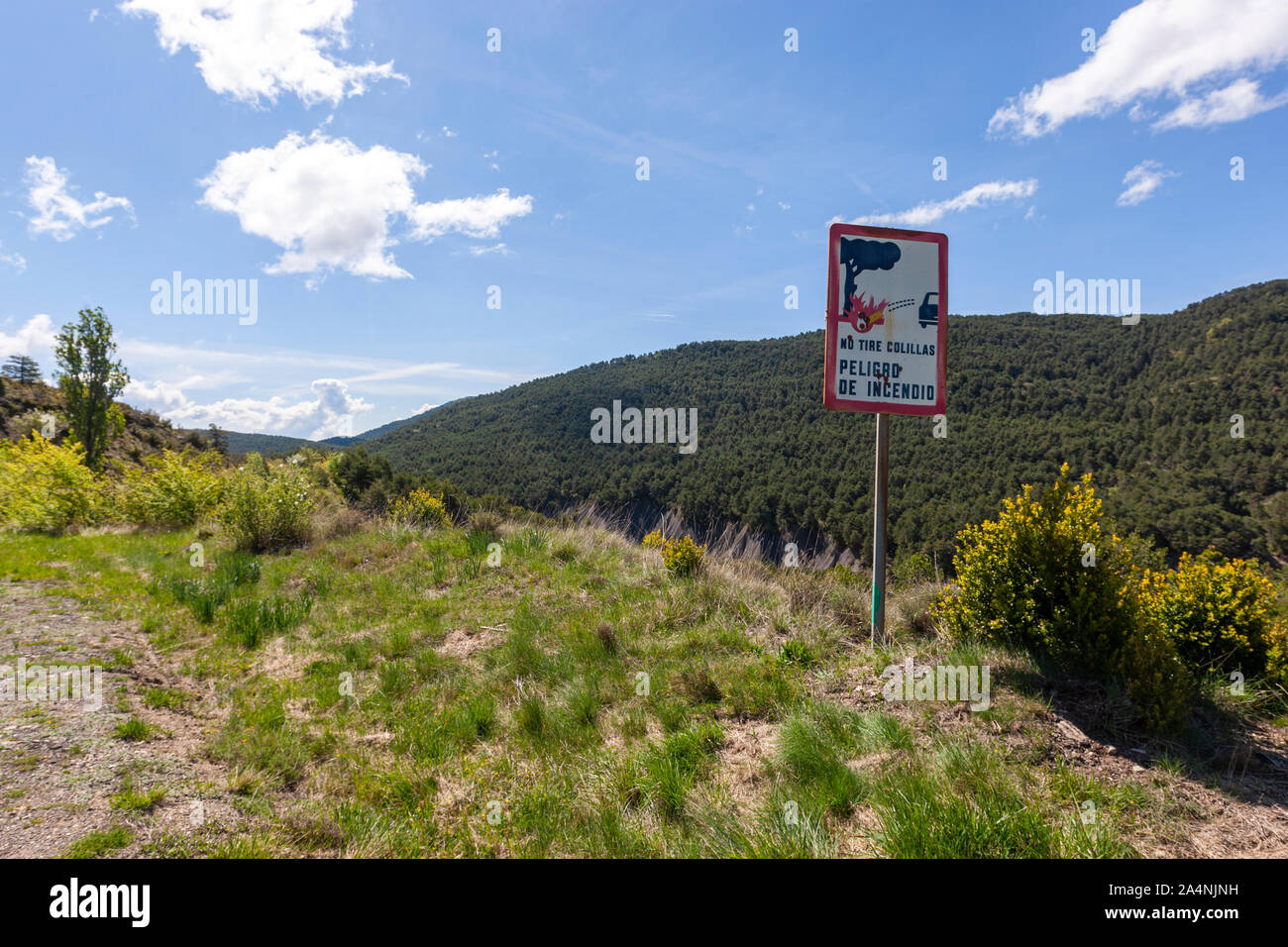 Non gettare mozziconi di sigarette cartello stradale a causa pericolo di  incendi nella foresta vicino a Jaca, Aragona, Spagna Foto stock - Alamy
