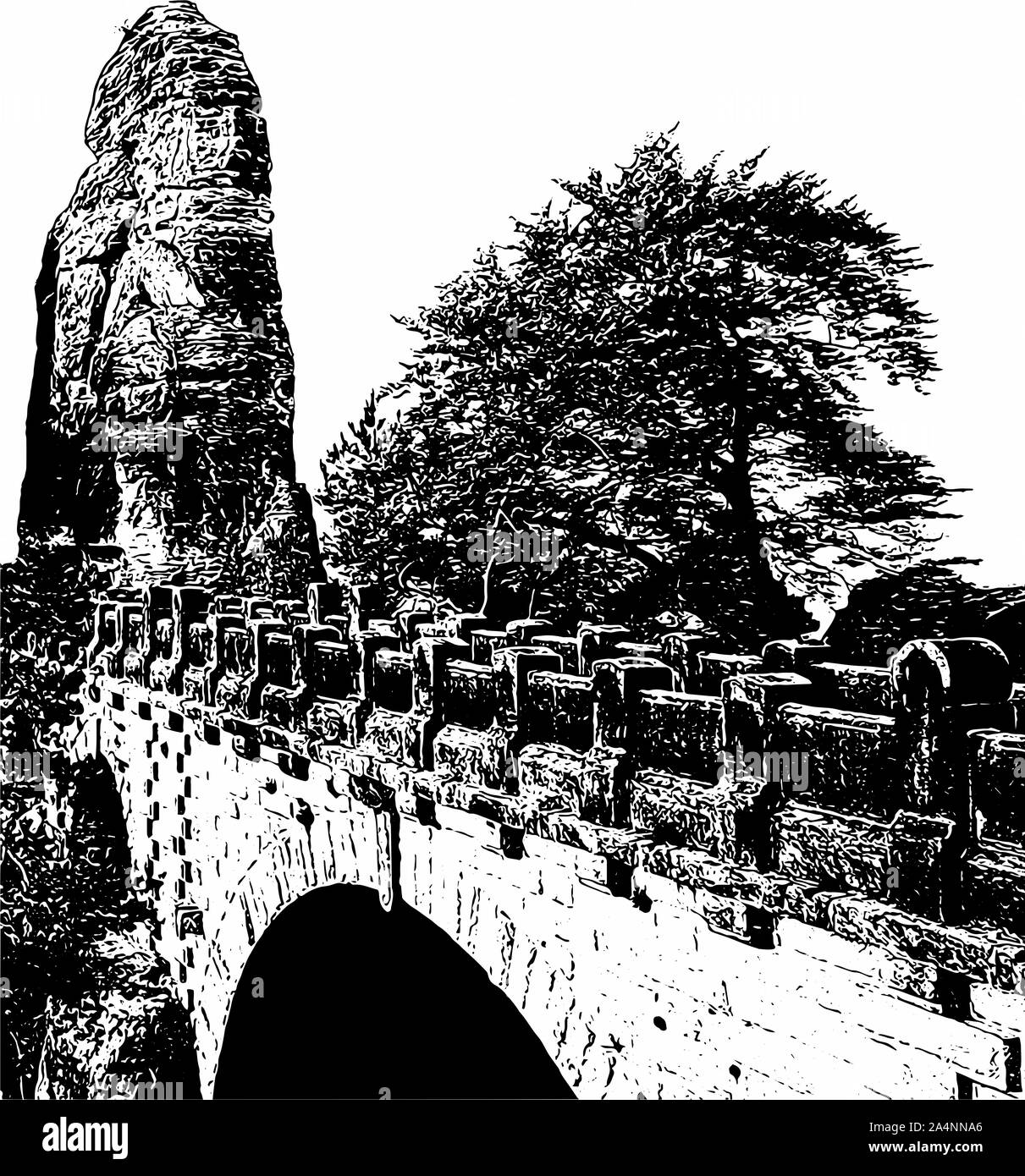 Abilmente e ornati in immagine di un bellissimo paesaggio nei colori bianco e nero ottica Foto Stock