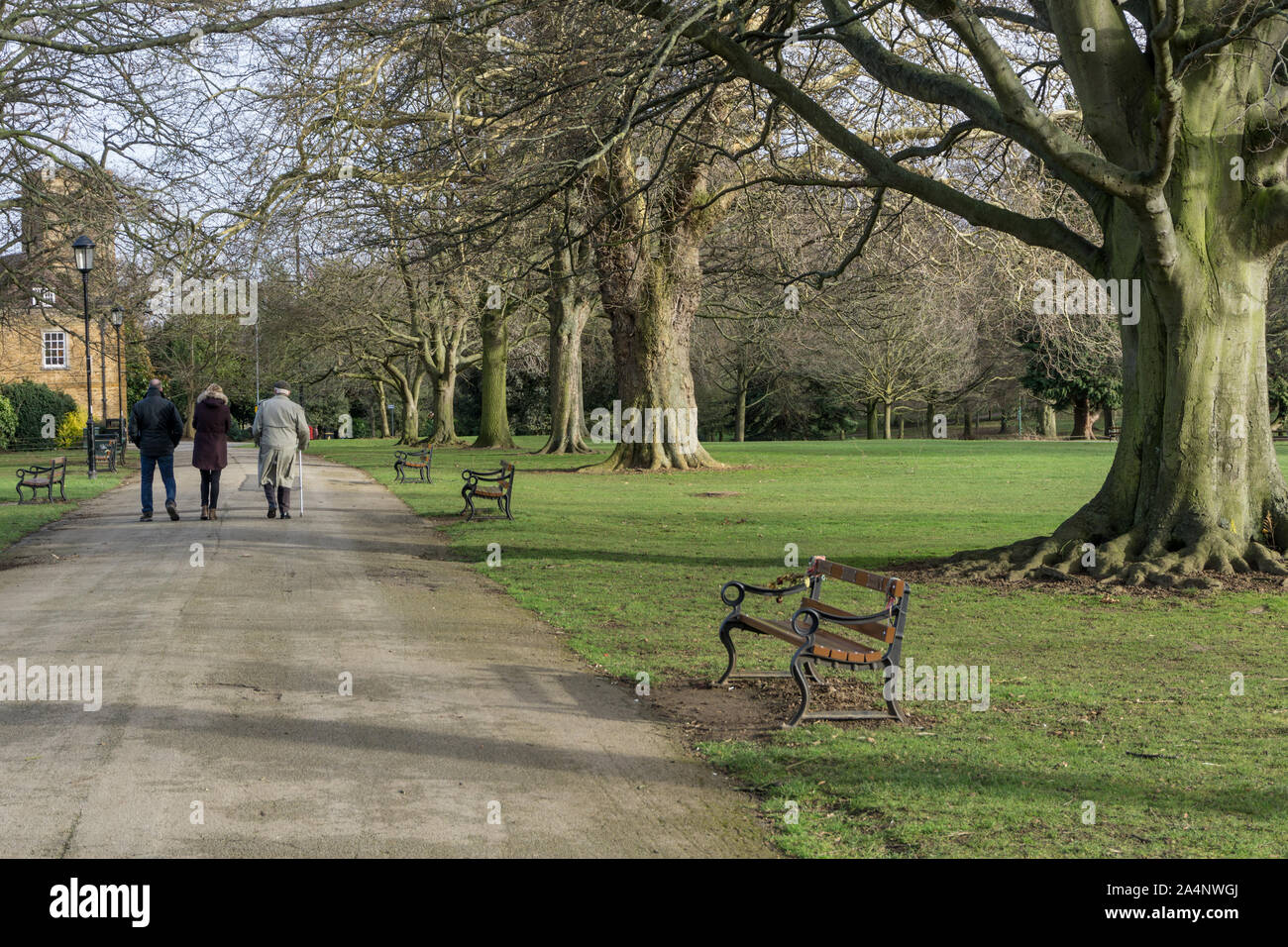 Una fredda ma soleggiata giornata invernale e in Abington Park, Northampton, Regno Unito; tre persone a piedi lungo un viale alberato percorso. Foto Stock