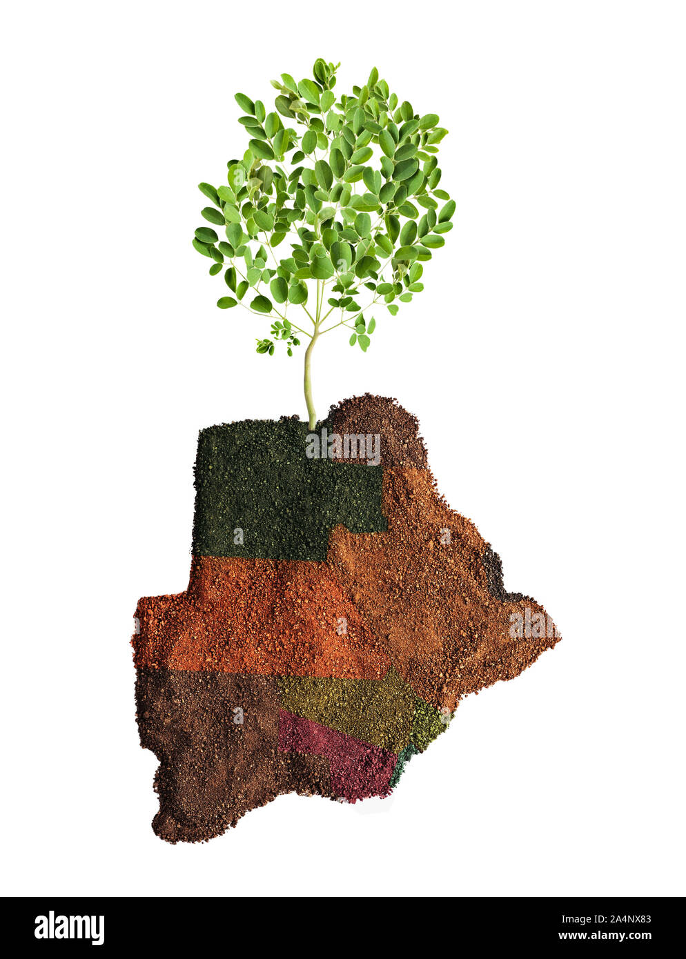 Concettuale mappa del Botswana di riciclo o di agricoltura, crescere un albero Foto Stock