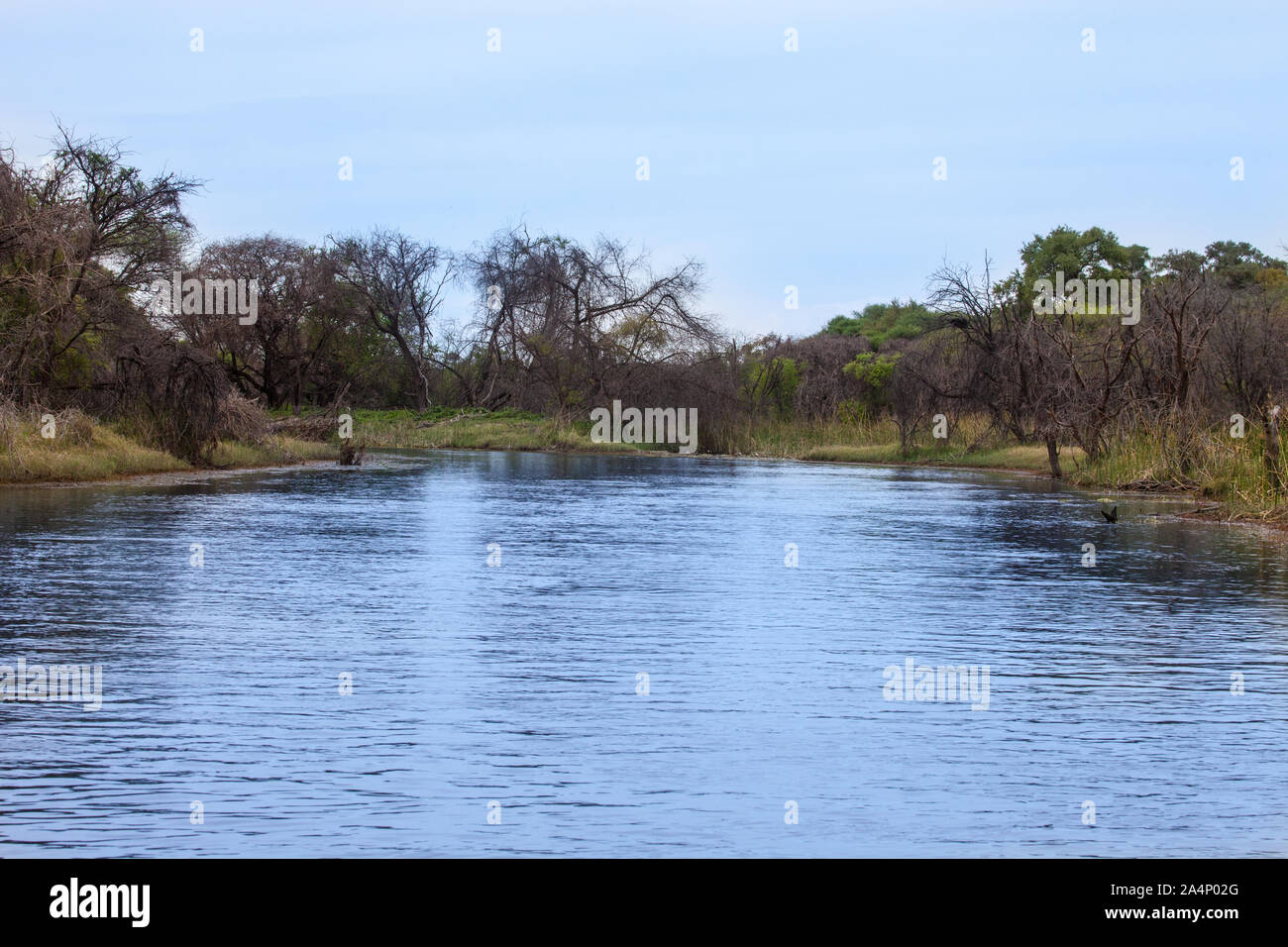 Varcando il fiume di Okavango Delta, in Kasane e Maun Botswana Foto Stock