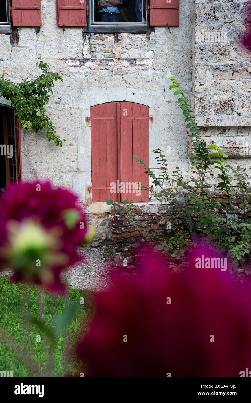 Persiane rosse che mostra nel giardino del castello di Gruviera nell'antica città di Gruyère, Svizzera Foto Stock