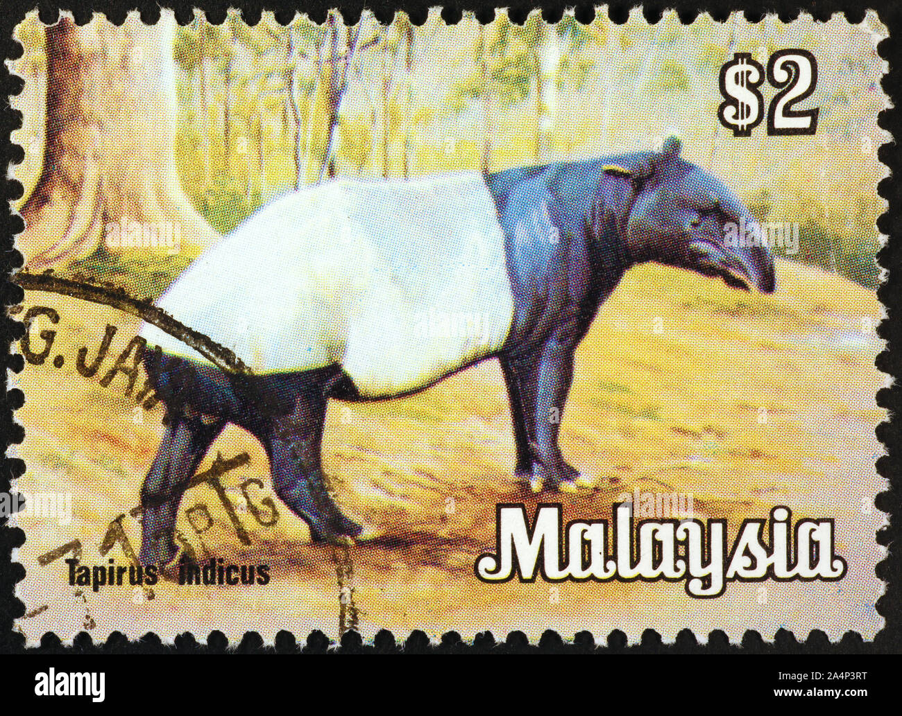 Il tapiro malese sul francobollo della Malaysia Foto Stock