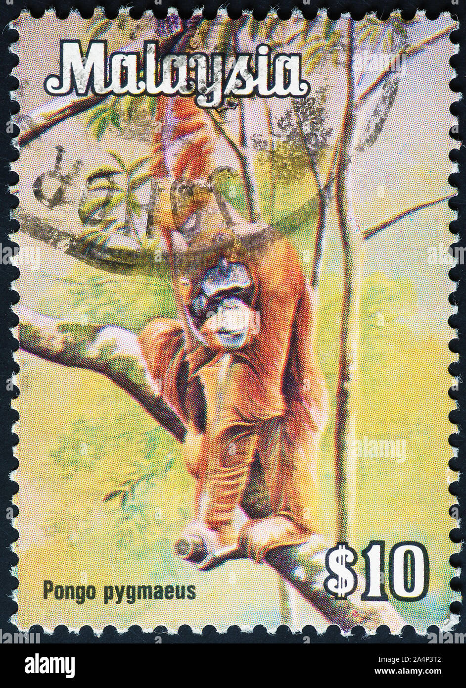 Orangutan malese sul francobollo Foto Stock