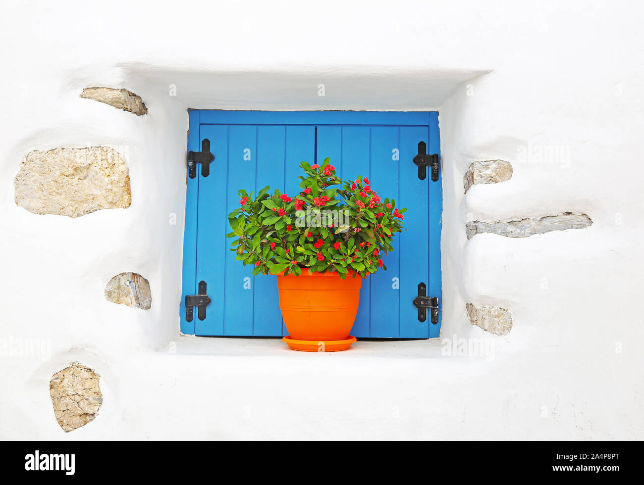 Tradizionale casa bianca con finestra turchese e fiori che sbocciano in Koufonissia Grecia Foto Stock