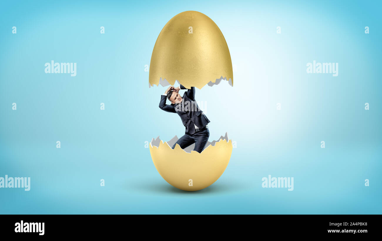 Un piccolo imprenditore ha rivelato come appena schiuse dall'interno di incrinature del Golden Egg. Foto Stock