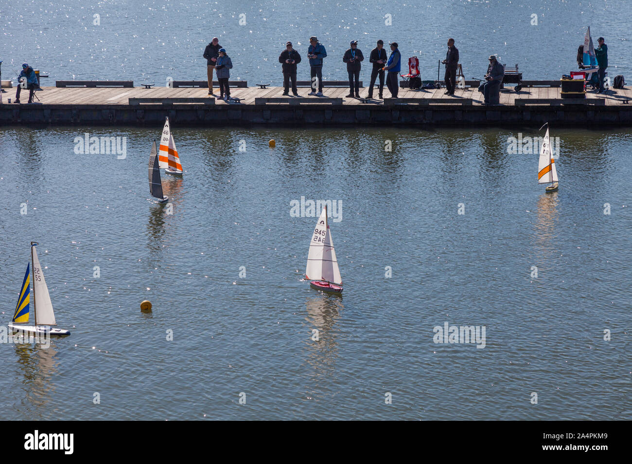 Appassionati racing loro radio controlled barche a vela sul lungomare di Steveston in British Columbia Canada Foto Stock