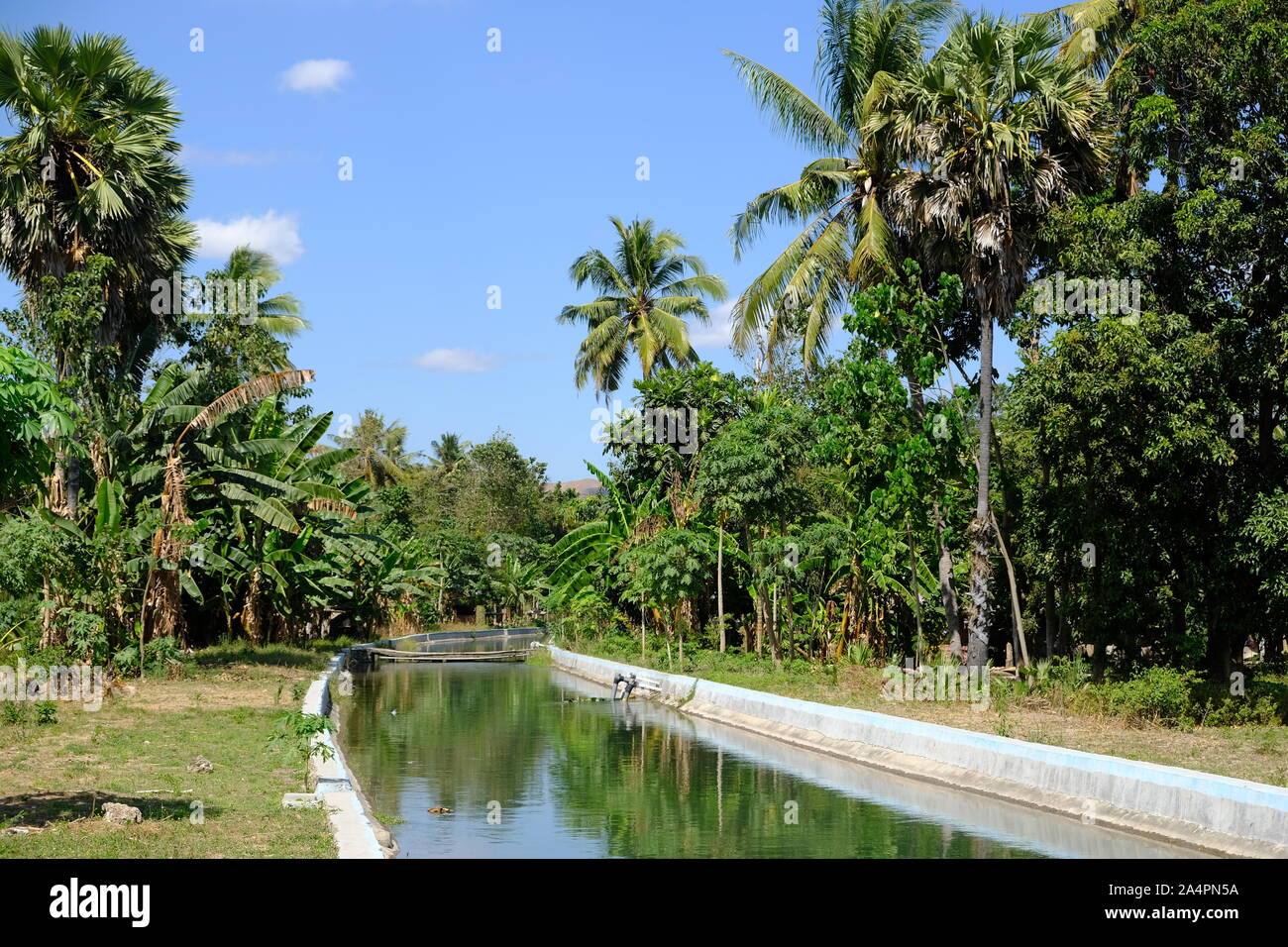 Indonesia Isola di Sumba - canale di irrigazione per l'agricoltura Foto Stock
