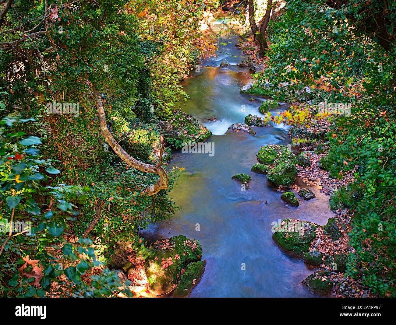 Una lunga esposizione foto, del bel fiume in una foresta a Mega Spileon nel Peloponneso Kalavryta, Grecia. Foto Stock