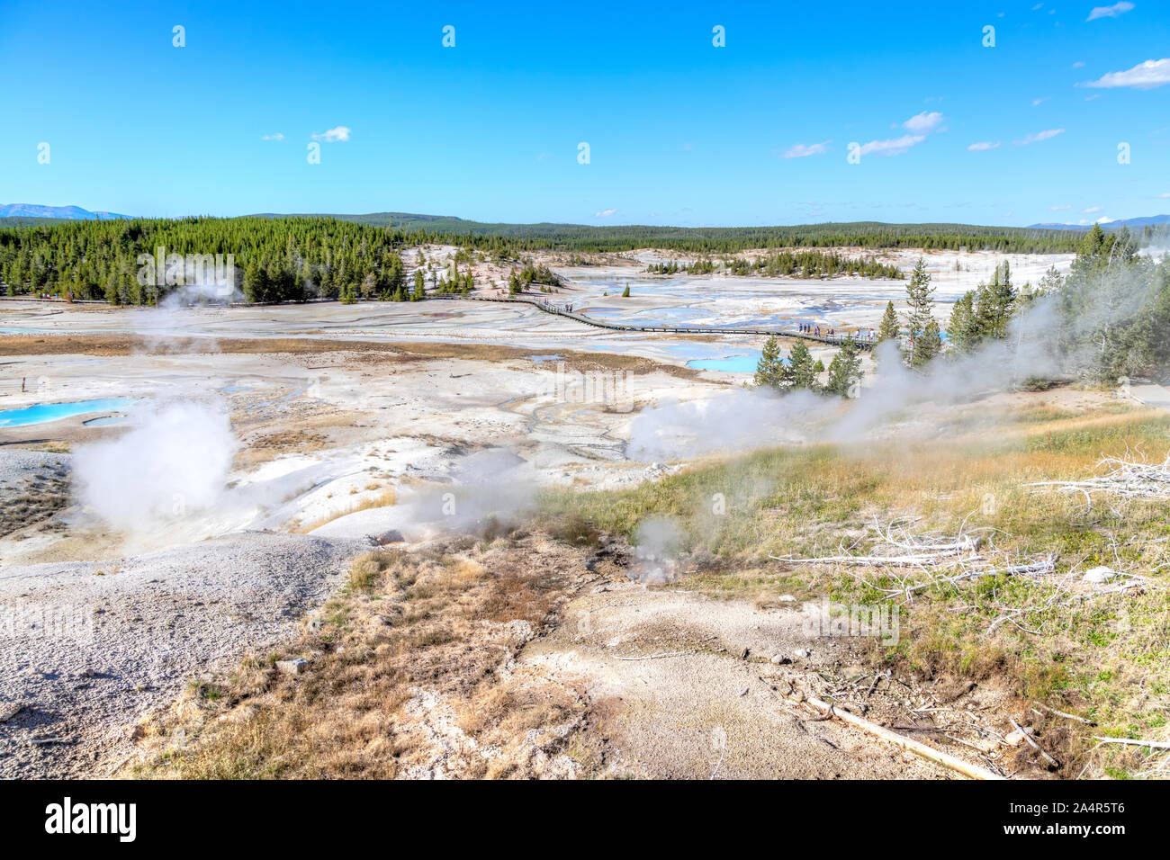 Fumo vulcanica sorge dalla geotermia motivi di bacino di porcellana boardwalk trail a Norris Geyser Basin nel Parco Nazionale di Yellowstone, Wyoming negli Stati Uniti. Foto Stock