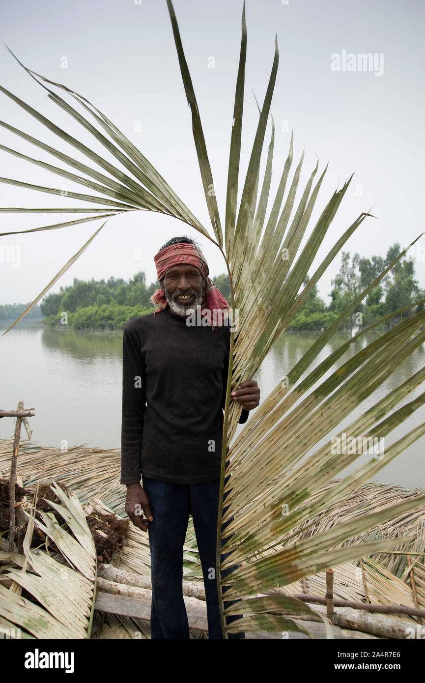 Modelrelease n.: 024.Woazed Ali Sarder, 55, un anziano palme Nipa collector poste per fotografie in Sundarbans Mangrove il 10 marzo 2009, Khulna, Bangladesh. Palme Nipa localmente noto come Golpata, è un membro della famiglia Arecaceae o Palmae. Si tratta di una specie di mangrovie, si trova lungo le rive di fiumi e torrenti in tutta l'Asia, Oceania e la costa orientale dell'Africa. È necessario regolare di inondazione. In La Sundarbans cresce leggermente e moderatamente zone di soluzione salina. Persone utilizzato Nipa palm per rendere il tetto della casa. Foto Stock