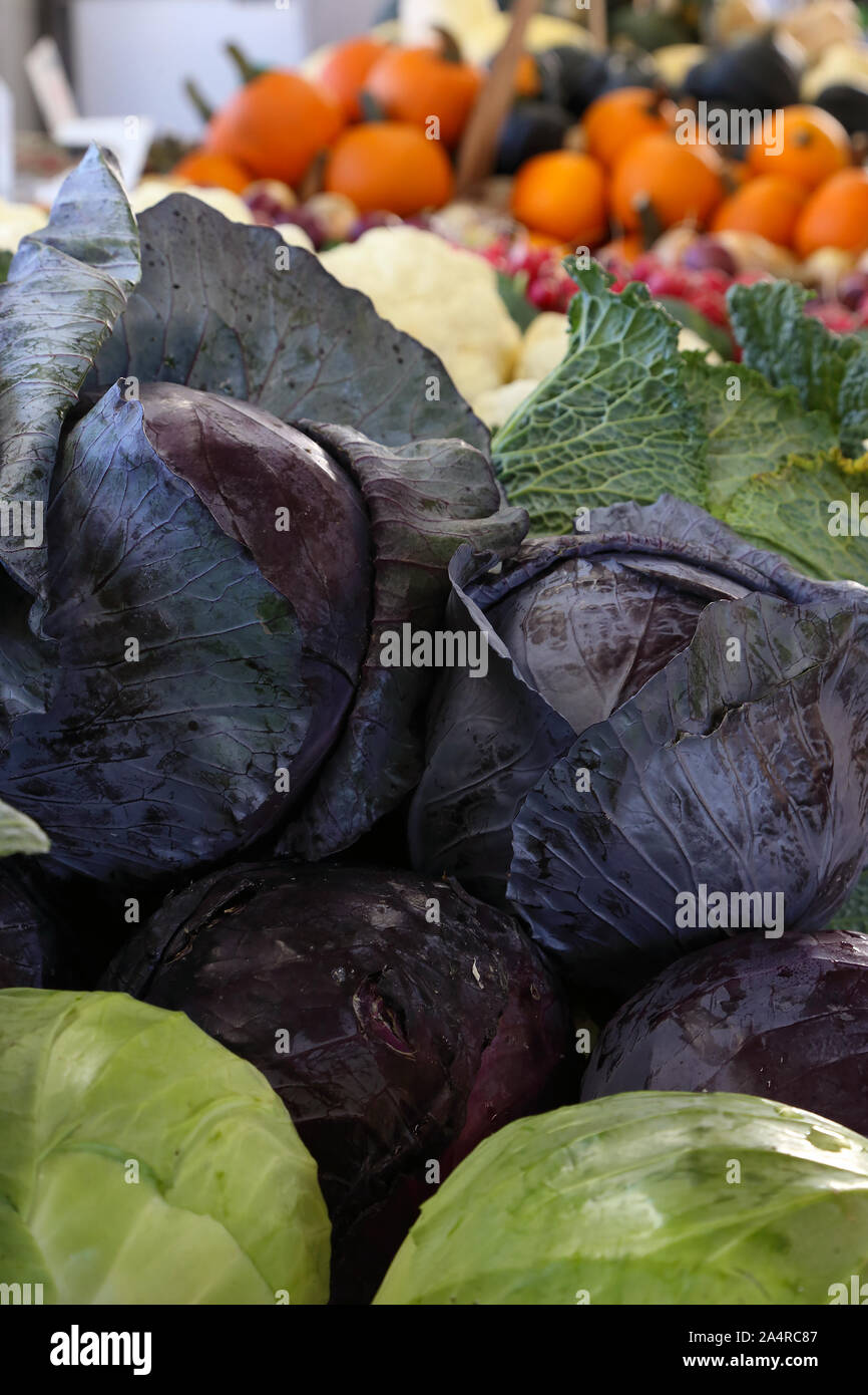 Freschi e locali cavolo organico al mercato degli agricoltori. Ecologic, naturali di ortaggi coltivati. I prodotti di fattoria. Nuovo sfondo naturale. Foto Stock
